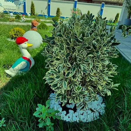 Pensiunea Paradisul Marii