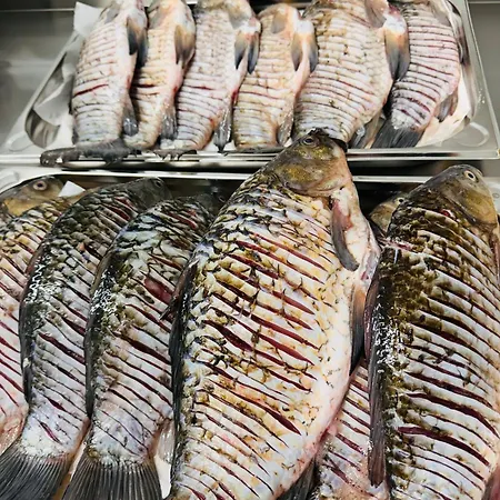 Pensiunea Paradisul Marii Sulina