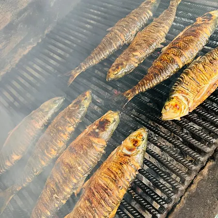 Konukevi Pensiunea Paradisul Marii