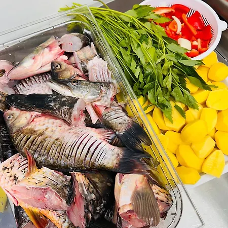 Pensiunea Paradisul Marii Sulina