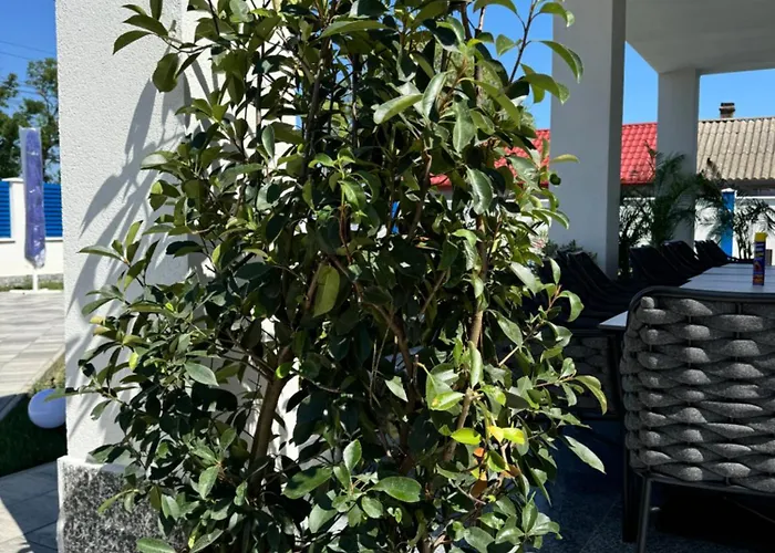 בית הארחה Pensiunea Paradisul Marii 3*