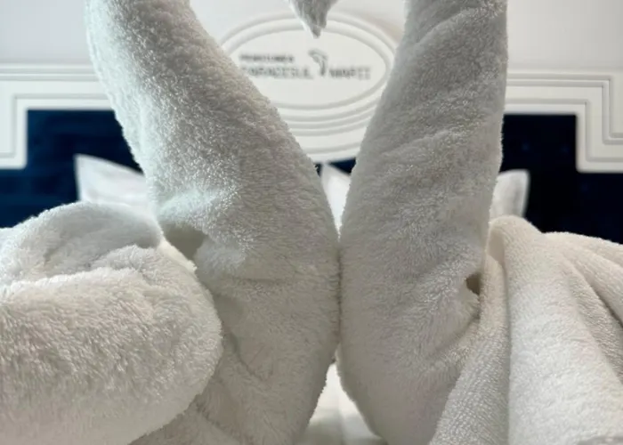 Pensiunea Paradisul Marii בית הארחה 3*