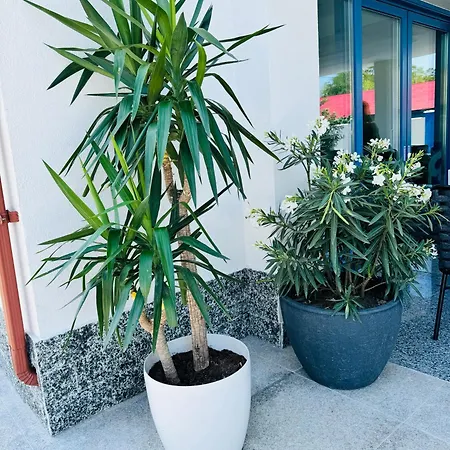 Pensiunea Paradisul Marii Sulina