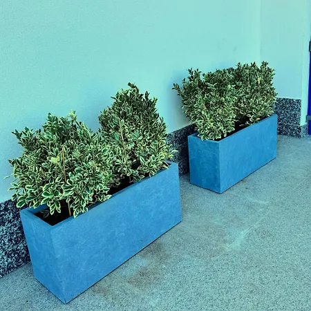 Pensiunea Paradisul Marii 3* Sulina