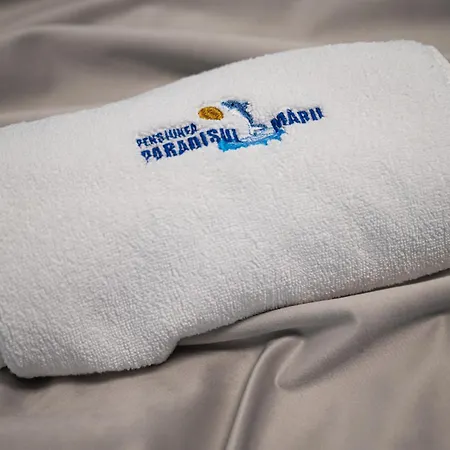 Pensiunea Paradisul Marii Guest house Sulina