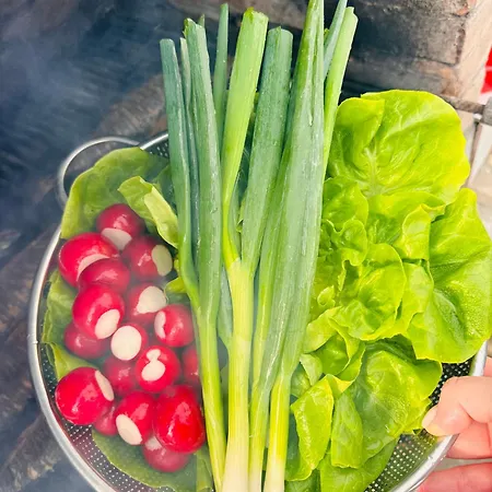 Pensiunea Paradisul Marii