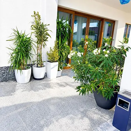 Pensiunea Paradisul Marii ゲストハウス